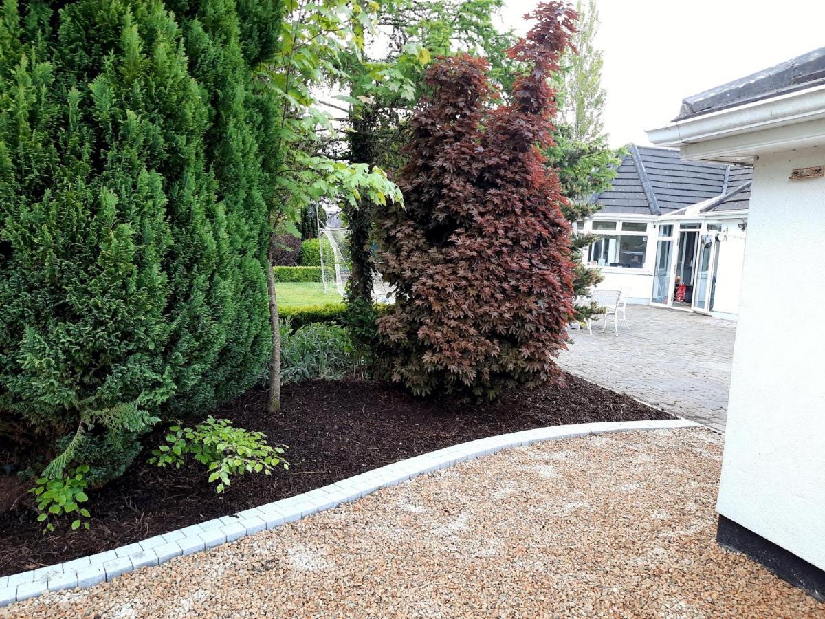 Killenard Self Catering Accommodation Dış mekan fotoğraf